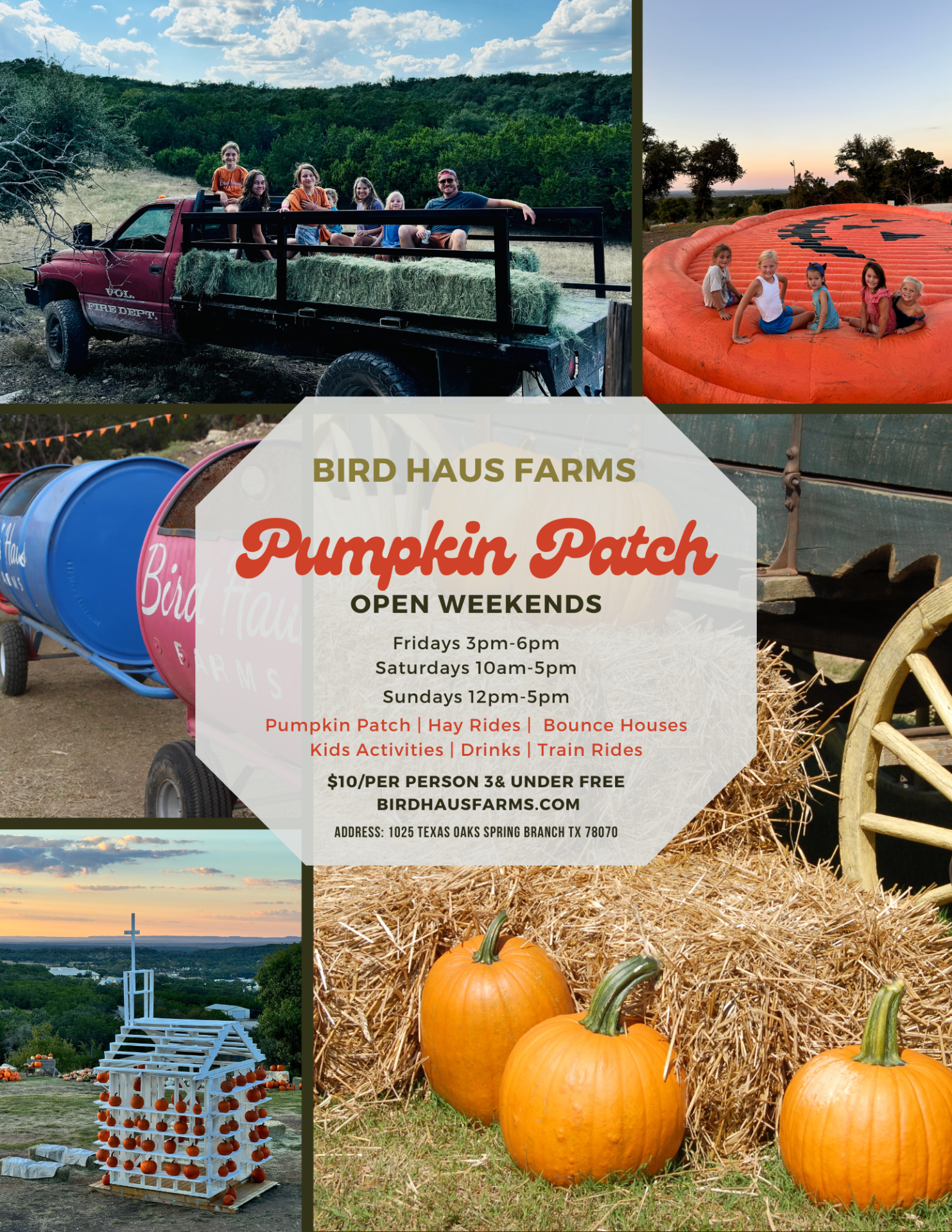 Bird Haus Farms Pumpkin Patch