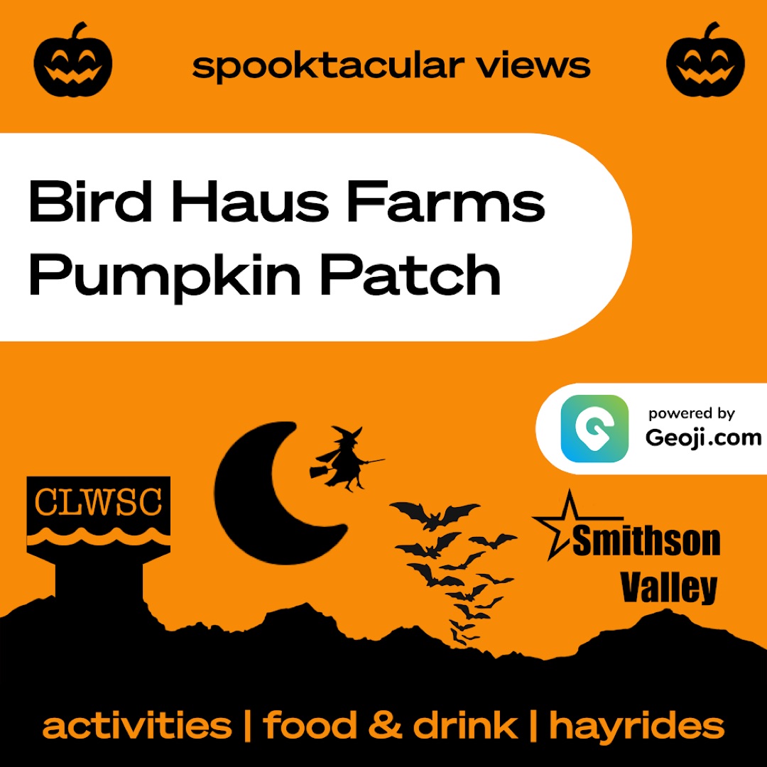 Bird Haus Farms Pumpkin Patch