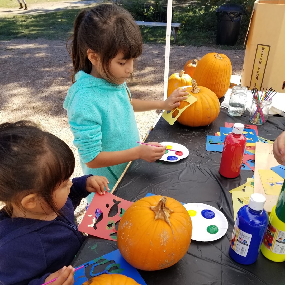 NOMAD RANCH PUMPKIN PATCH